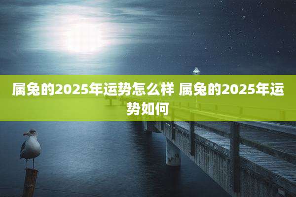 属兔的2025年运势怎么样 属兔的2025年运势如何