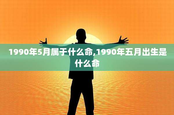 1990年5月属于什么命,1990年五月出生是什么命