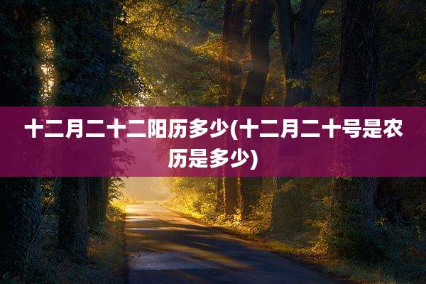 十二月二十二阳历多少(十二月二十号是农历是多少)