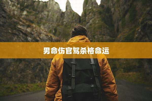 男命伤官驾杀格命运
