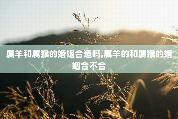 属羊和属猴的婚姻合适吗,属羊的和属猴的婚姻合不合