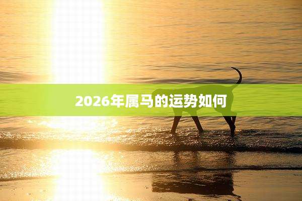 2026年属马的运势如何