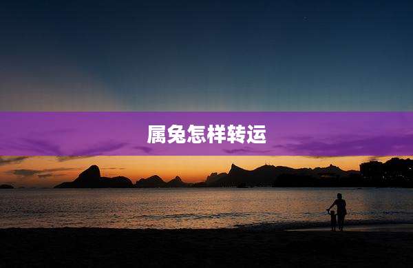 属兔怎样转运