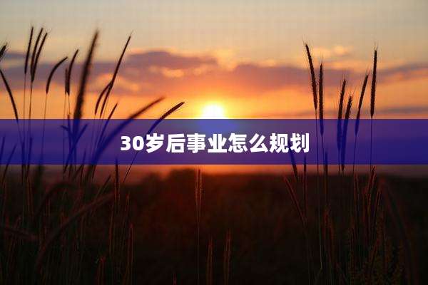 30岁后事业怎么规划