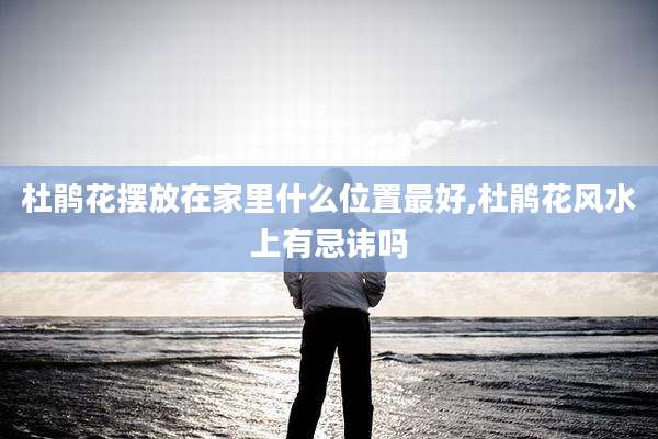 杜鹃花摆放在家里什么位置最好,杜鹃花风水上有忌讳吗