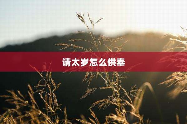 请太岁怎么供奉