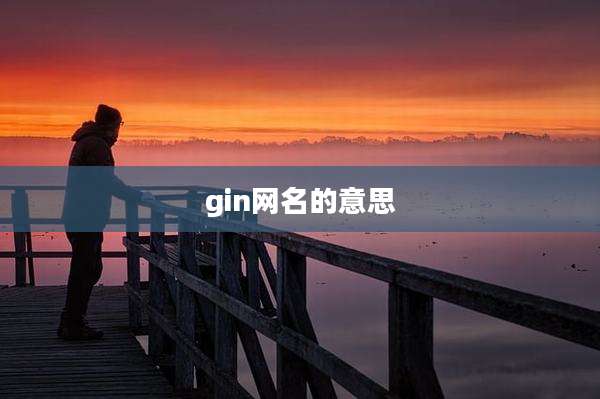gin网名的意思
