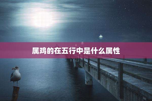 属鸡的在五行中是什么属性
