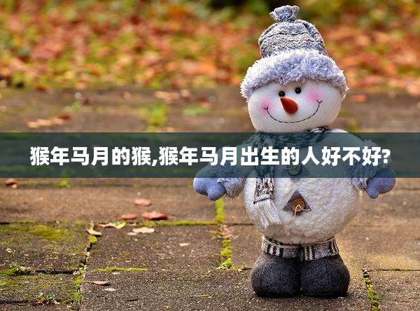 猴年马月的猴,猴年马月出生的人好不好?