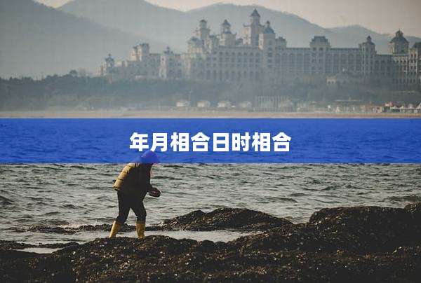 年月相合日时相合
