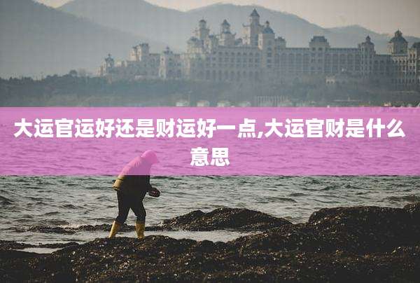 大运官运好还是财运好一点,大运官财是什么意思