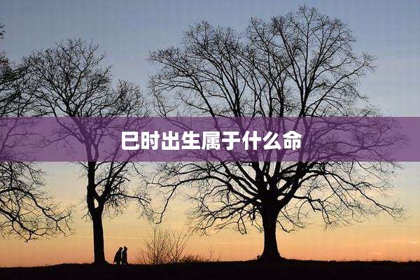 巳时出生属于什么命