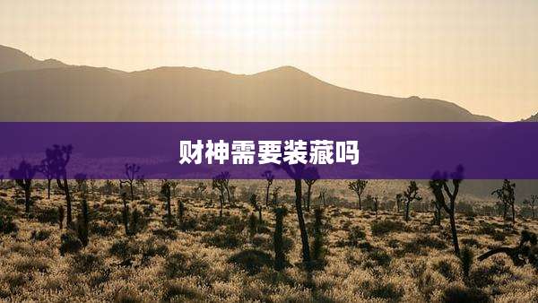 财神需要装藏吗