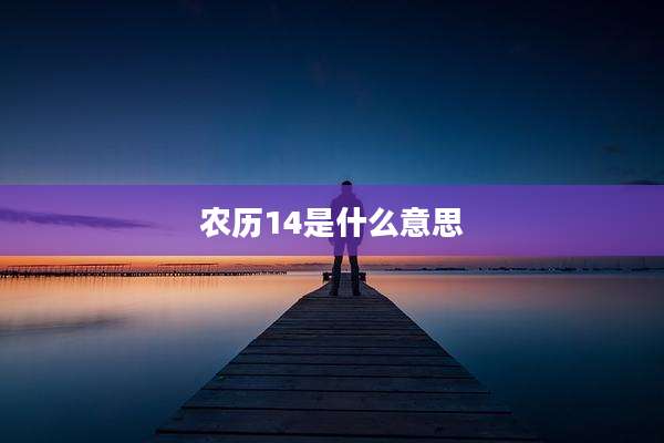 农历14是什么意思