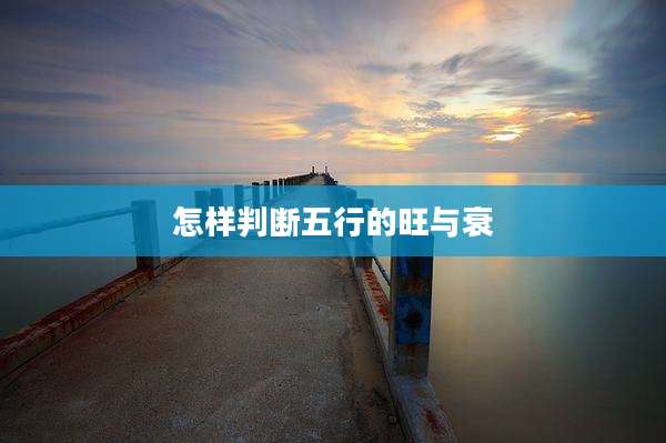 怎样判断五行的旺与衰