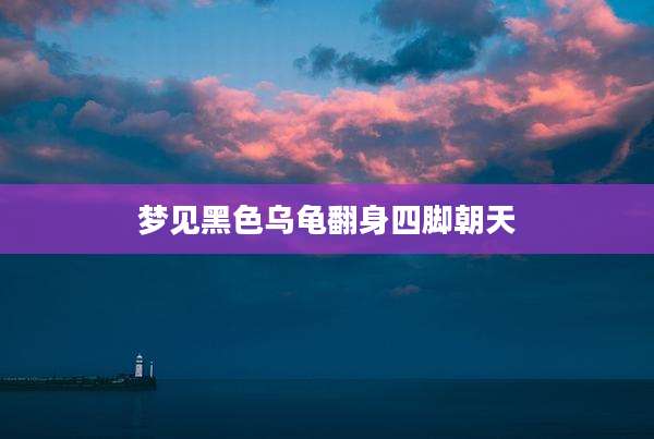 梦见黑色乌龟翻身四脚朝天