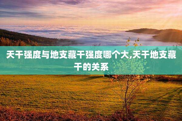 天干强度与地支藏干强度哪个大,天干地支藏干的关系
