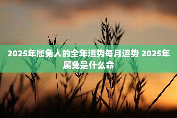 2025年属兔人的全年运势每月运势 2025年属兔是什么命