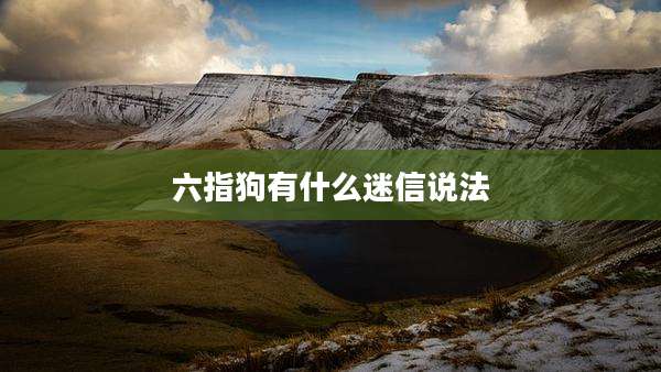 六指狗有什么迷信说法