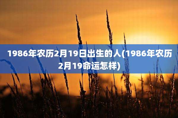 1986年农历2月19日出生的人(1986年农历2月19命运怎样)
