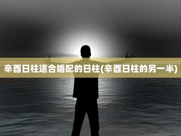 辛酉日柱适合婚配的日柱(辛酉日柱的另一半)