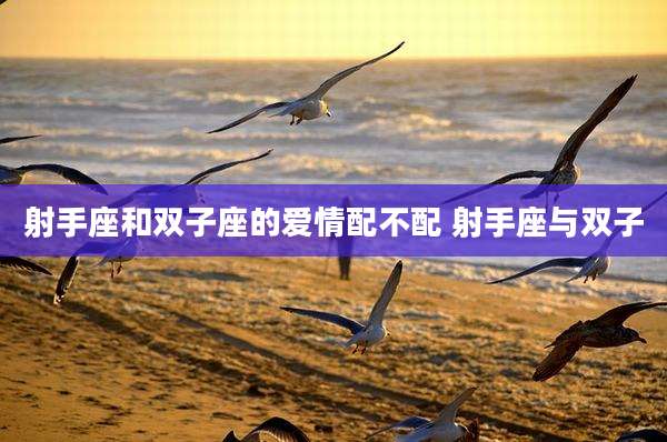 射手座和双子座的爱情配不配 射手座与双子