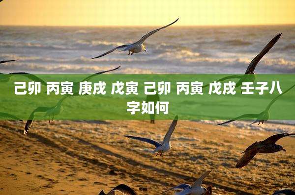 己卯 丙寅 庚戌 戊寅 己卯 丙寅 戊戌 壬子八字如何