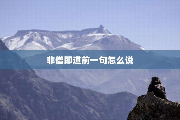 非僧即道前一句怎么说