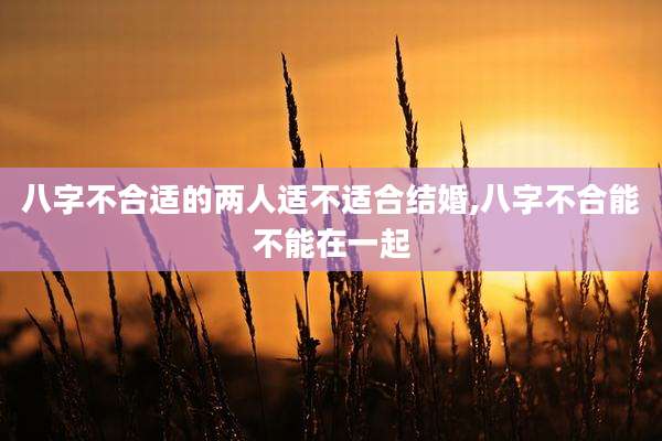 八字不合适的两人适不适合结婚,八字不合能不能在一起