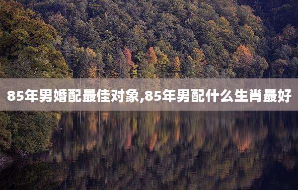 85年男婚配最佳对象,85年男配什么生肖最好