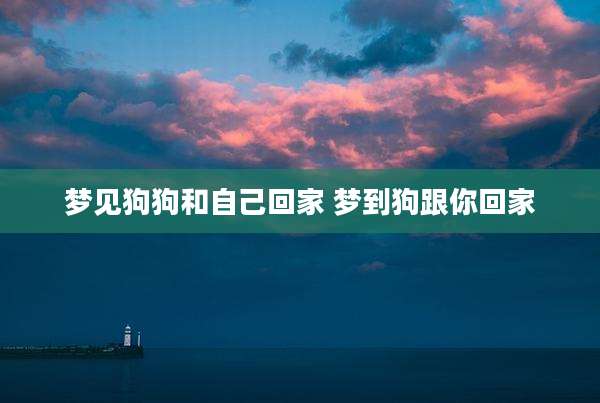 梦见狗狗和自己回家 梦到狗跟你回家
