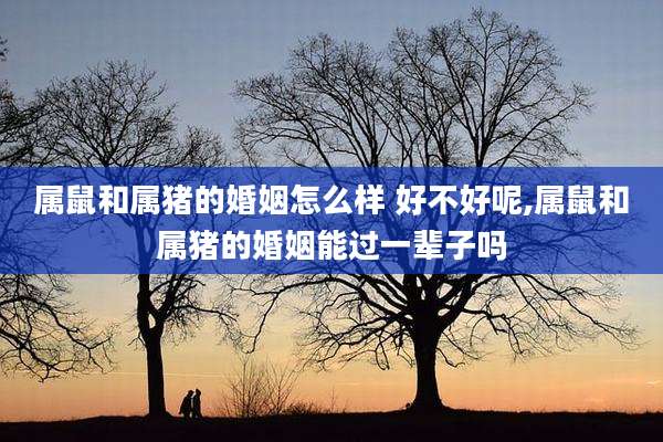 属鼠和属猪的婚姻怎么样 好不好呢,属鼠和属猪的婚姻能过一辈子吗