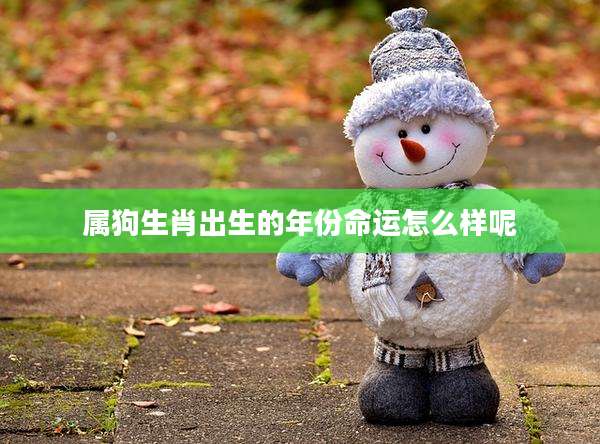 属狗生肖出生的年份命运怎么样呢