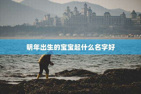 明年出生的宝宝起什么名字好