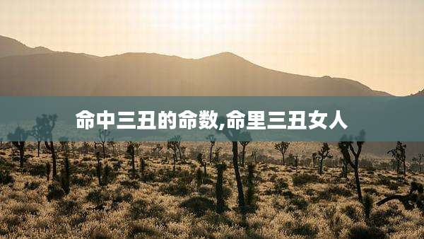 命中三丑的命数,命里三丑女人