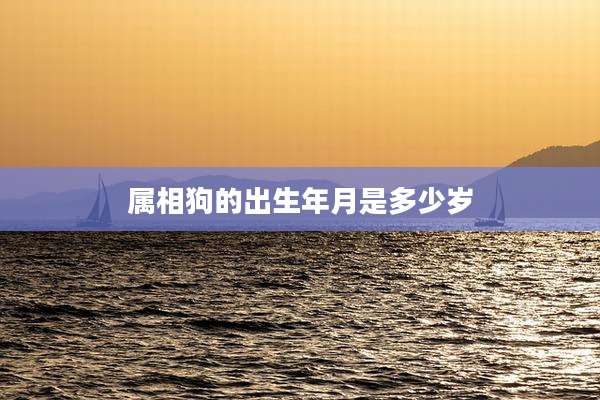属相狗的出生年月是多少岁