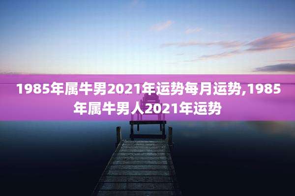 1985年属牛男2021年运势每月运势,1985年属牛男人2021年运势