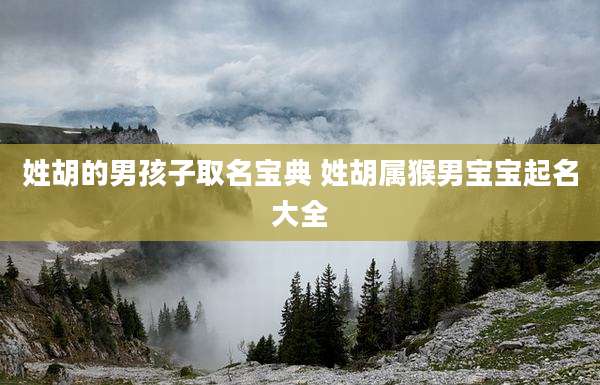 姓胡的男孩子取名宝典 姓胡属猴男宝宝起名大全