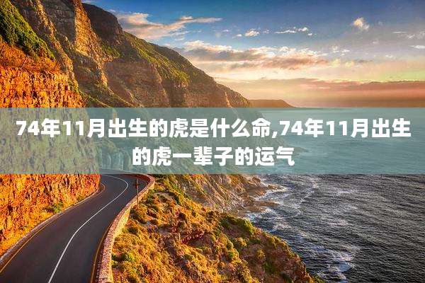 74年11月出生的虎是什么命,74年11月出生的虎一辈子的运气
