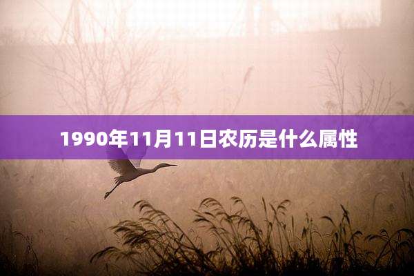 1990年11月11日农历是什么属性