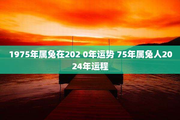 1975年属兔在202 0年运势 75年属兔人2024年运程