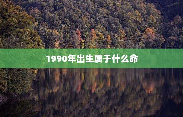 1990年出生属于什么命