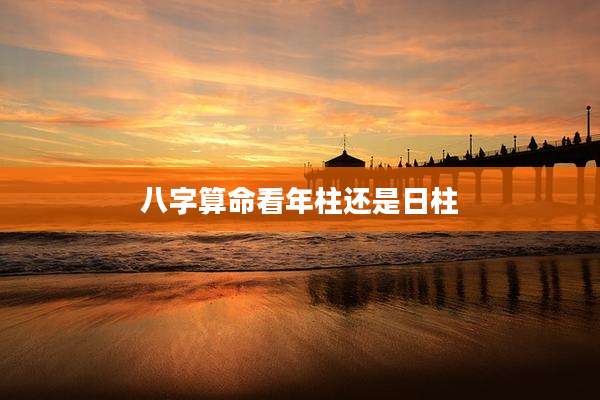 八字算命看年柱还是日柱