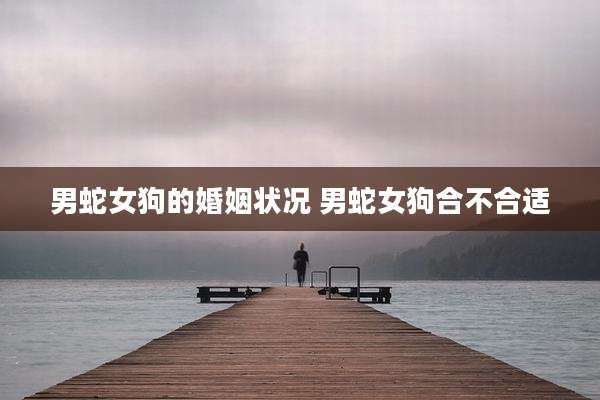 男蛇女狗的婚姻状况 男蛇女狗合不合适