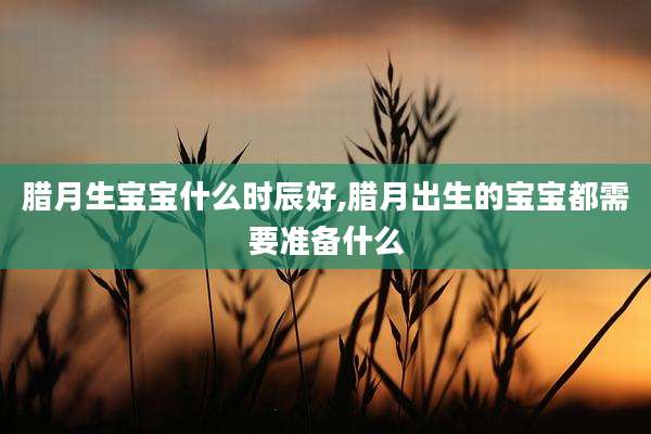 腊月生宝宝什么时辰好,腊月出生的宝宝都需要准备什么