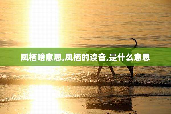 凤栖啥意思,凤栖的读音,是什么意思