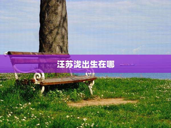 汪苏泷出生在哪