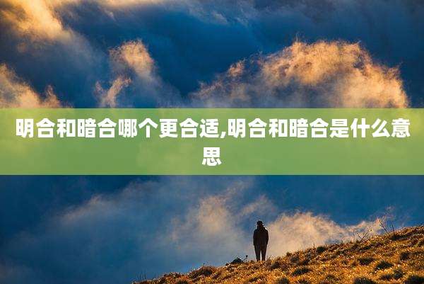 明合和暗合哪个更合适,明合和暗合是什么意思