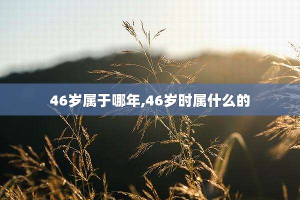 46岁属于哪年,46岁时属什么的