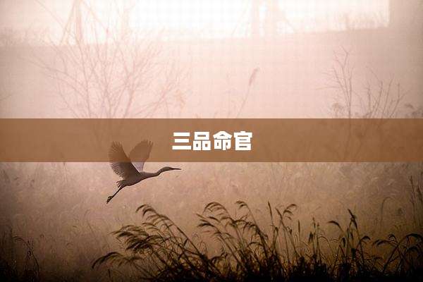 三品命官